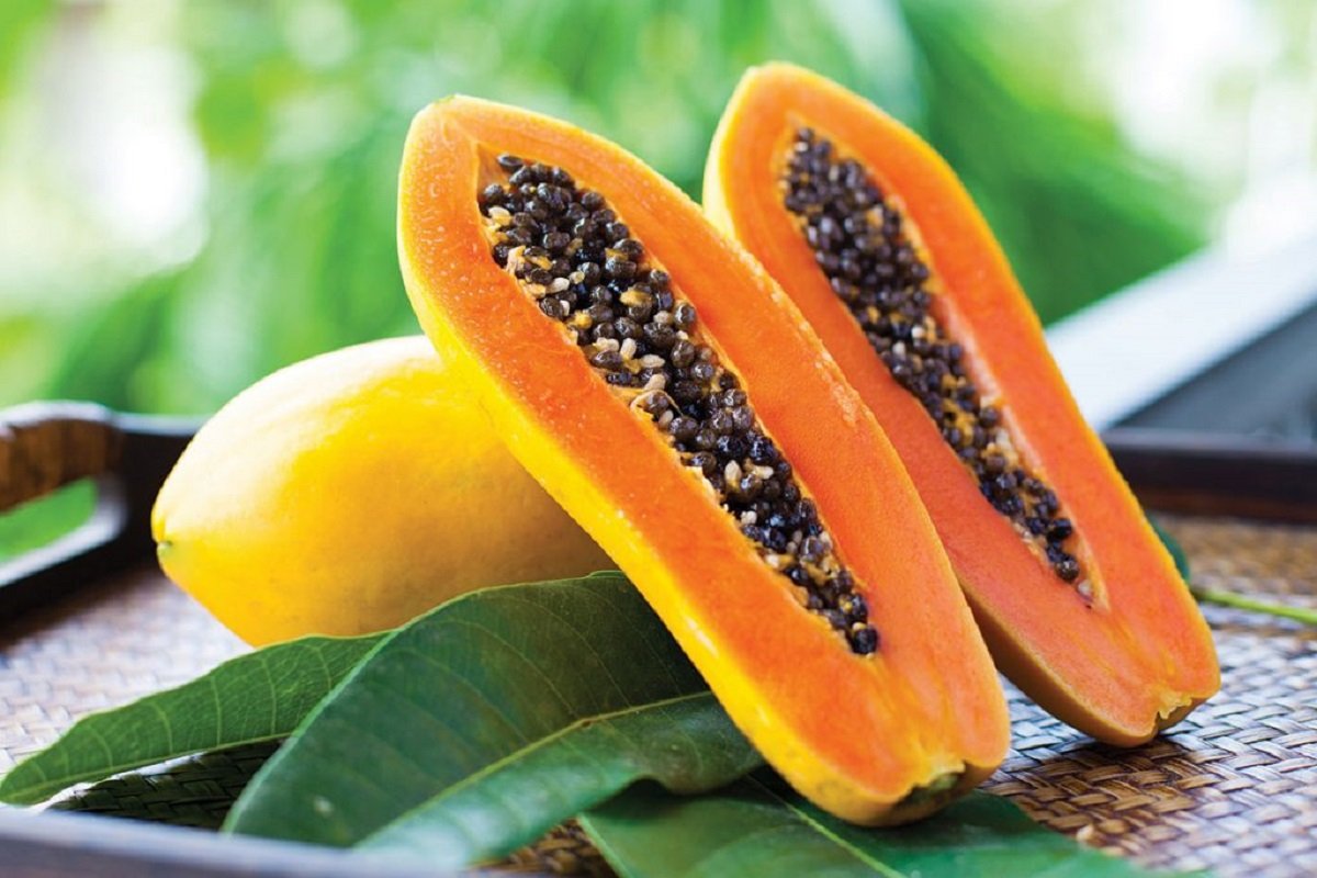 பப்பாளியின் மருத்துவ குணங்கள்: உடலுக்கு நன்மை அளிக்கும் பப்பாளி பழம் - what  are the medicinal benefits we get from papaya: health tips