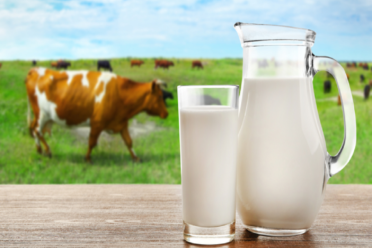 Striking sun - dramatically reduced milk production!