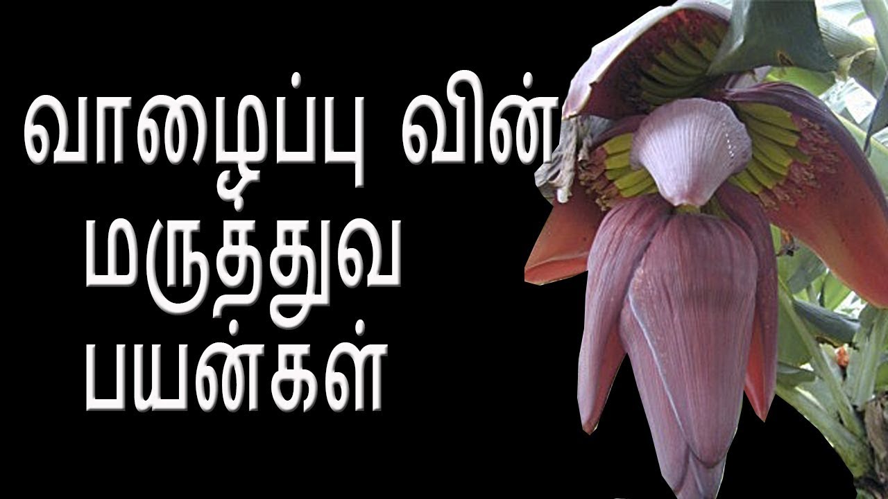 வாழைப்பூ: நீங்கள் கேள்விப்படாத சூப்பர் உணவு ! - Banana Flower Benefits ...