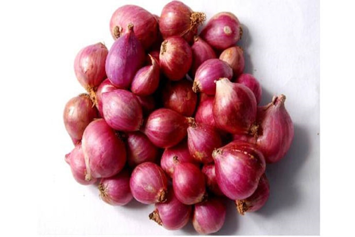 Onion Ooty