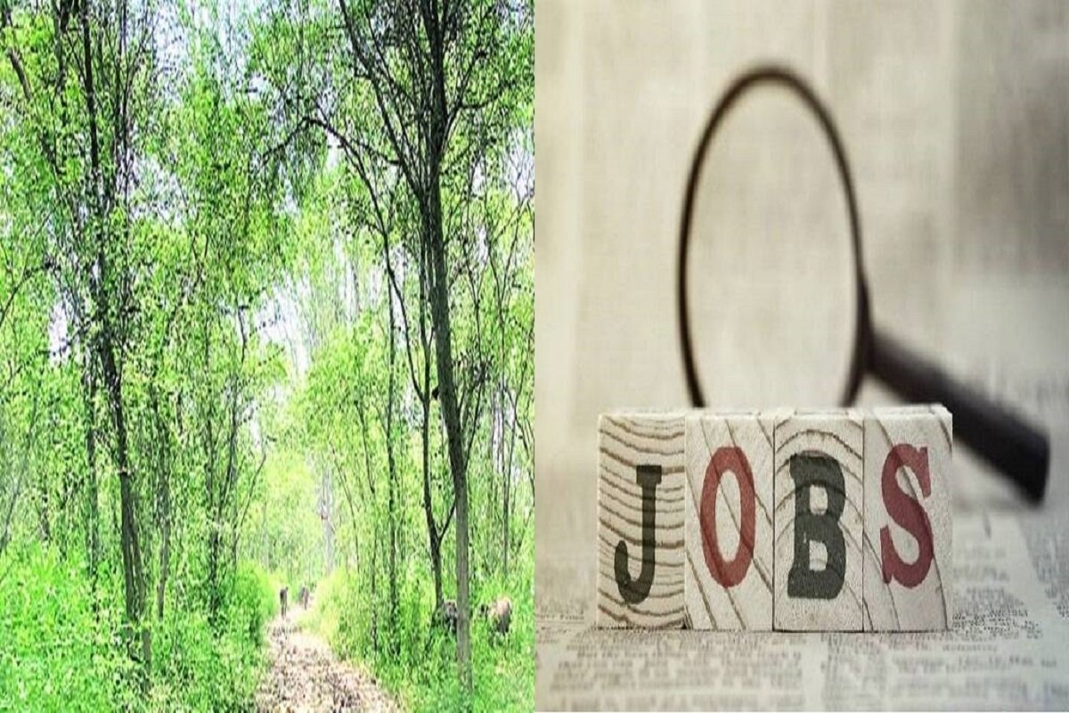 Researcher job in Tamil Nadu Forest Department - Details inside!