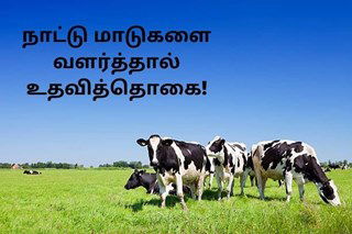 விவசாயிகள் நாட்டு மாடுகளை வளர்த்தால் உதவித்தொகை!