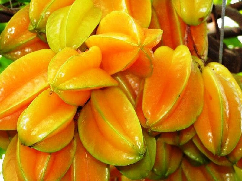 Health Benefits of Star Fruits