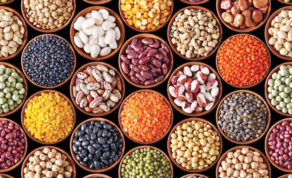 Pulses Seeds Avaialble at Subsidy Rate